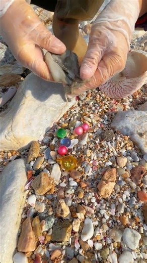 Sea Agate and Sea Crystal: Finding Hidden Treasures on the Shore and rare pearl