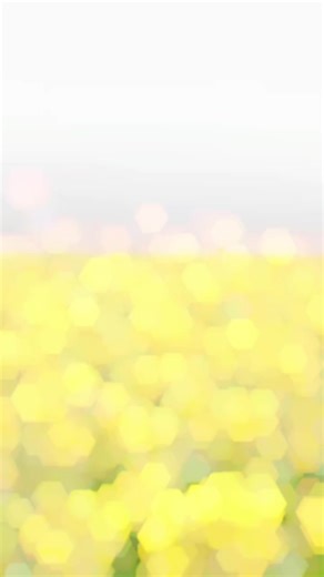 💋Romantic Queen💋 (@romantic.queen796)’s videos with original sound - PEARL MAKEUP & NAIL STUDIO