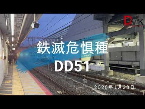 鉄（絶）滅危惧種DD51＠京都駅2026.01.28