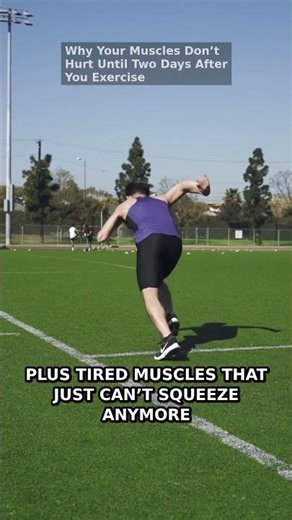 Why Your Muscles Hurt Two Days After Exercise