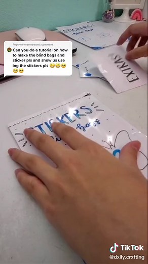 DIY Birdin Bag: Make Your Own Custom Blind Bags with Stickers!