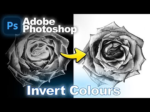 How to Invert Colors in Photoshop