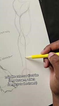 How To Draw Muscular Arms! #tutorial #artadvice #arttips
