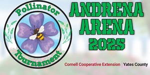 Pollinator Tournament 2025