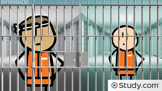 Juvenile vs. Adult Justice System | Differences & Similarities