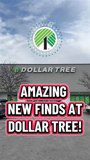 55K views · 672 reactions | Amazing new finds at Dollar Tree! This Dollar Tree store was STOCKED today! They had so many new finds that I’ve never seen before! #dollartree #dollartreefinds #dollarstore #dollarstorefinds #newatdollartree #dollartreecommunity #dollartreeshopping #dollartreeaddict #dollartreeobsessed | CassidysCorner | Facebook