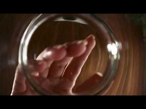 [ASMR] POV you're (gently) trapped in a glass (no talking, muffled rain sounds)