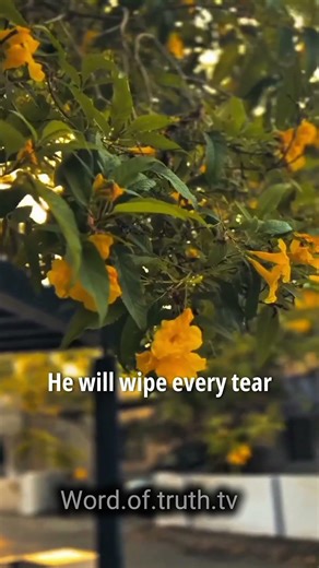 5 Scriptures That Heal a Broken Heart