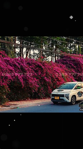 🔥 TAXI TIỀN GIANG 24H 🔥👉 [ 0383 777 737 ] 👈​🌍 MỸ THO↔️CHỢ GẠO↔️GÒ CÔNG🌍 CAI LẬY ↔️CÁI BÈ↔️TÂN PHƯỚC​