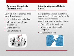 Estructura Orgánica y mecánica