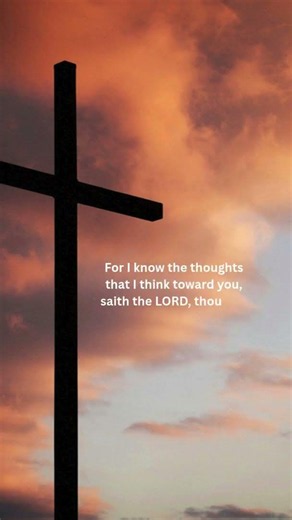 Bible Verse of the Day ✝ #bibleshorts #sacredscriptures #biblewisdom #acceptthescriptures