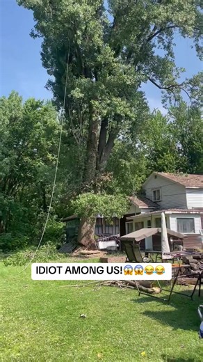IDIOT AMONG US!😱😱😂😂 #idiot #safetyfirst #fyp #treefalling #treeremoval BrunnoNoBs 👊👊