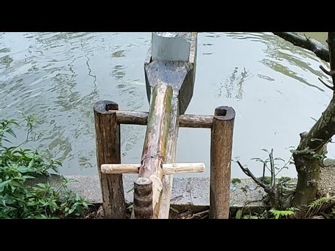 Minh HGTV đang phát trực tiếp!