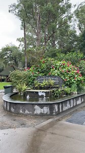 925 reactions · 108 shares | Set forth on a journey of discovery...