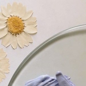 QuinnsArte by Quinal Malara on Instagram: "Periwinkle✨ . . . Periwinkle is a color in the blue and violet family. The color periwinkle is also called lavender blue. It may be considered a pale tint of purple or a "pastel purple". Also let us take a moment to appreciate how beautiful is this colour🥺♥️ . . . . . . . #periwinkle #purple #paintmixing #art #explore #explorepage #arteducation #arttips #arttutorial #arttherapy #satisfying #reelsinstagram #reelkarofeelkaro #reelitfeelit #aesthetic #gol