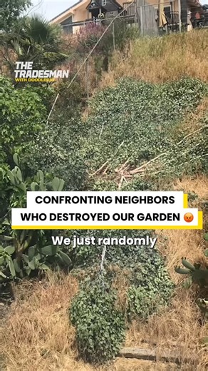 Confronting neighbors who destroyed our garden