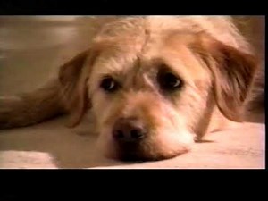 2006 Time Warner Cable Commercial