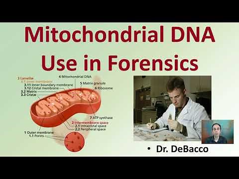 Mitochondrial DNA Use in Forensics