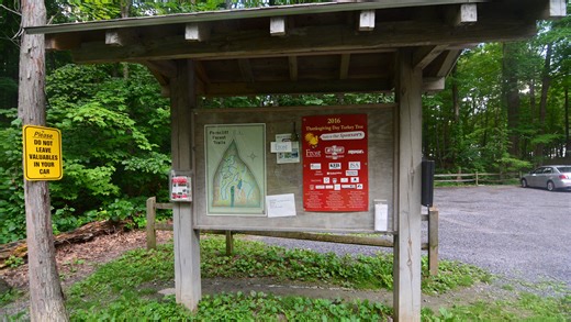 Don't lose your nerve - climb to the top of Ferncliff tower