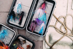 Field Test: Canon PowerShot G5 X on the Olympic Peninsula