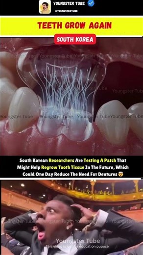 Scientists Just Found a Way to Regrow Real Teeth 😳🦷