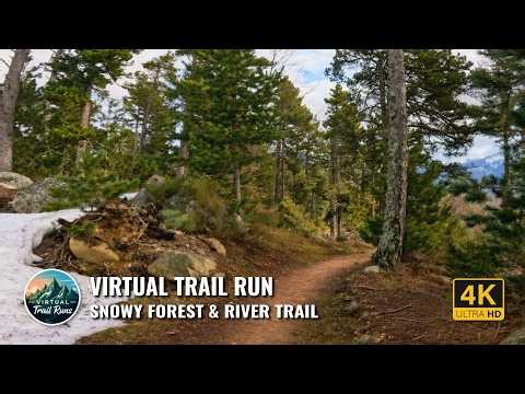 ALPINE RIVER PATHS & SNOWY FOREST (TREADMILL WORKOUT)