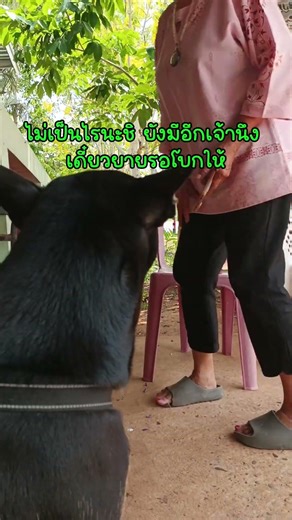 My dog ​​has to eat! 😅 #dog #cutedog #funny #shorts