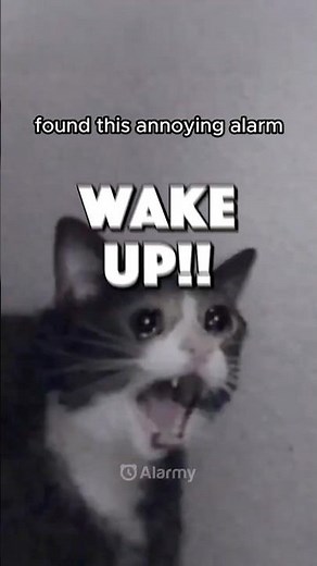 Annoying Alarm Sound