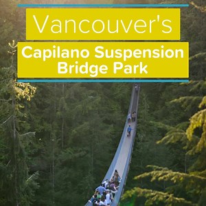 Take a walk on the wild side at Capilano Suspension Bridge Park 🌲🌲🌲 https://bit.ly/2NsHqhF | Destination Vancouver