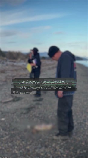 21 dead animals wash ashore, no one knows why