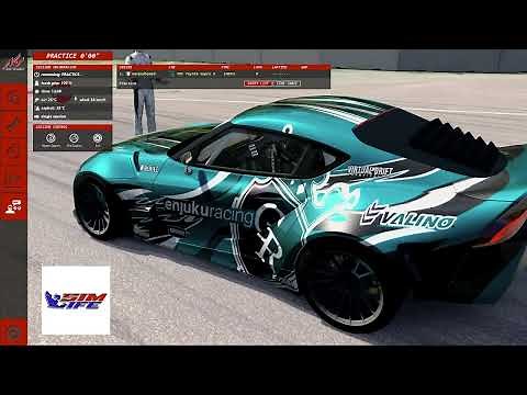 Assetto Corsa Logitech Thrustmaster Wheel FFB setup and controls Drift or Race how to Tutorial