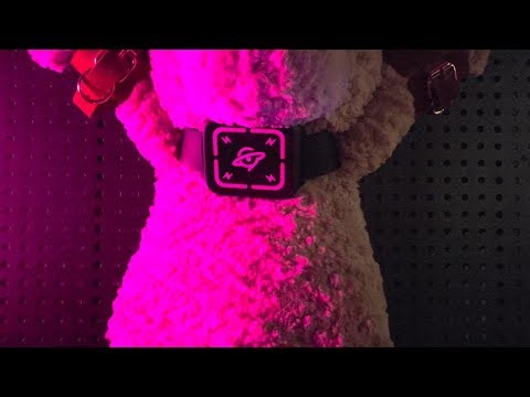 YoKoNex Shock Device 2.0 — Power, Control, Pleasure