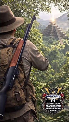 Norconia p1 .22cal 5,5mm sharp innova clone. Polyester model with wooden pump handle. Yep