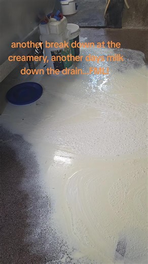 Challenges in British Dairy Farming: A Day at the Creamery