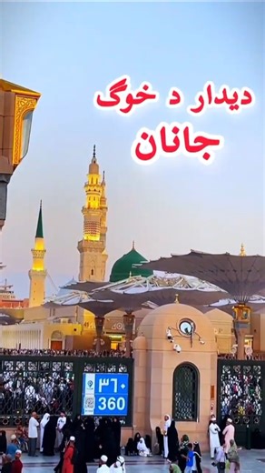 Pashto New Naat 2026 ❤️🕋❤️ #ameermuawiya #madina #naatsharif #pashto #naatstatus