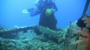 Diver diving at a sunken dry dock