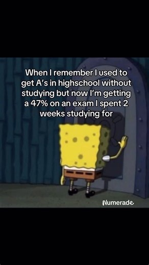 Numerade on Instagram: "what happened to me 💔 #school #college #study"