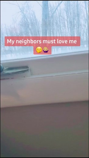 Ohhh Nelson 🤣🐎 #minidonkey #fyp #viral #donkeysoftiktok | mini donkeys