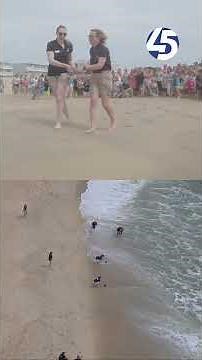 9 rehabilitated sea turtles released in Ocean City after months of National Aquarium care