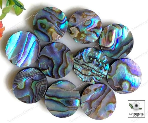 Abalone Shell Cabochons 15mm Round Shape Gemstone, Calibrated Abalone Sea Shell 10 Pcs Lot Use for Rings Jewelry & Necklace Making - Etsy