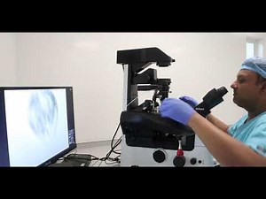 Inside the Lab - Embryo Biopsy