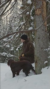 Wild Signatures: "I Would Choose Nature." — Teemu Hartikainen