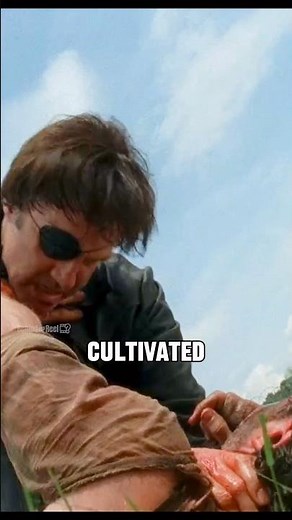 Real Fight Between Rick And Governor