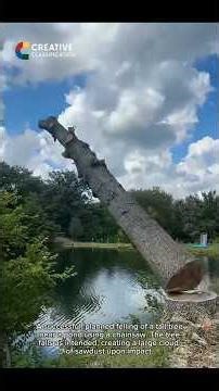 Giant Tree Felling Gone Wild Epic Moments of Precision and Power!