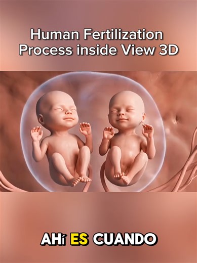 Medical 3D Visualization for Anatomy Education