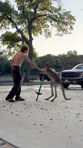 God forbid a man spends some quality time with a kangaroo | Dad Jokes