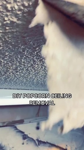 318K views · 6.1K reactions | How we removed our popcorn ceiling! #diy | Nik and Liv DIY | Facebook