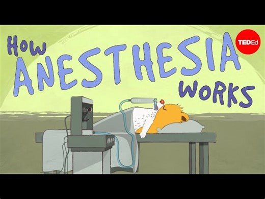 Health News - How Does Anesthesia Work - Mixed Quiz