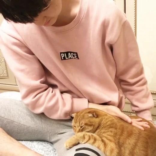 Benny loves his big bro so much🥰 베니는 형이 넘너무 좋아요 💕 유튜브 ‘베니패밀리’ #고양이 #cat #베니패밀리 #catsoftiktok #petsoftiktok #kucing #fyp #trend #반려동물 #치즈냥 #cutecat