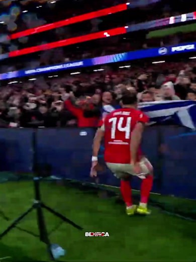 SL Benfica: Força e Paixão pelo Futebol